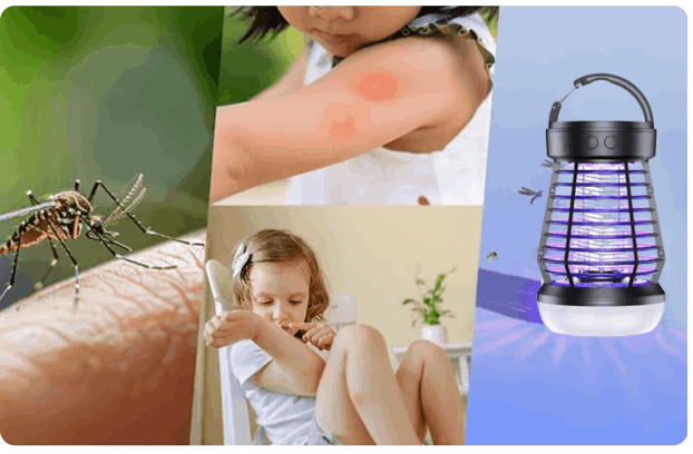 BuzzZapper Pro order now